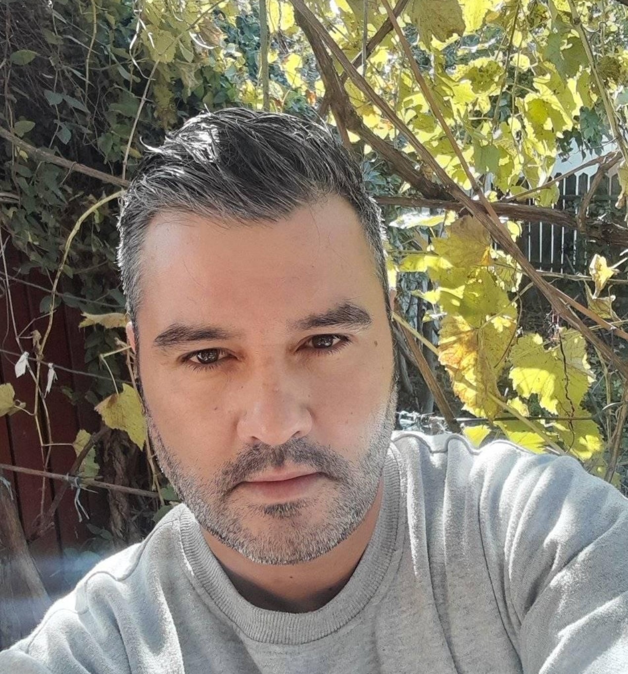 Mihai Ionescu
